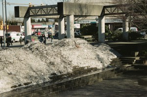 "Tired of slogging through slush" (Photo by Susan Chambers)